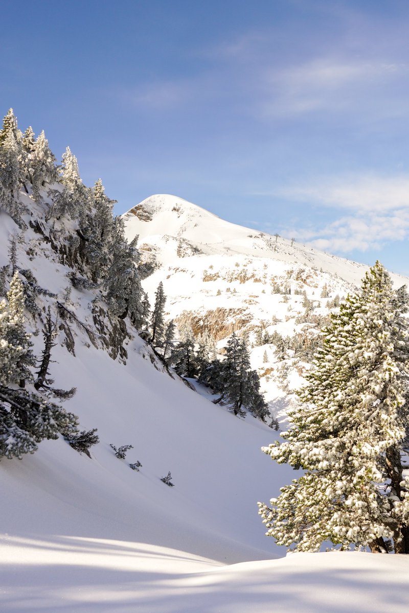 80% du domaine ouvert! Une journée de rêve !!!