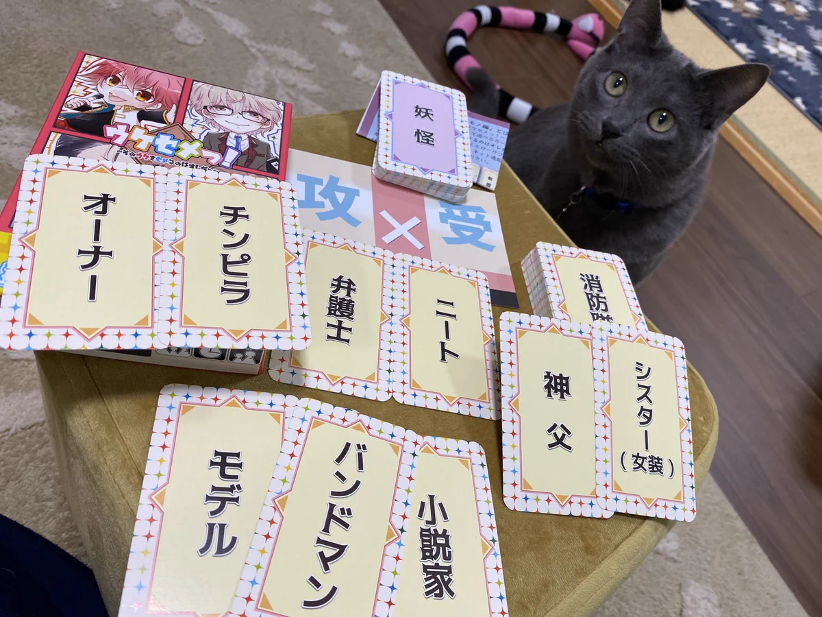 何このボードゲームwww腐女子友達とめっちゃ遊びたくなる好きカププレゼンゲーム？！