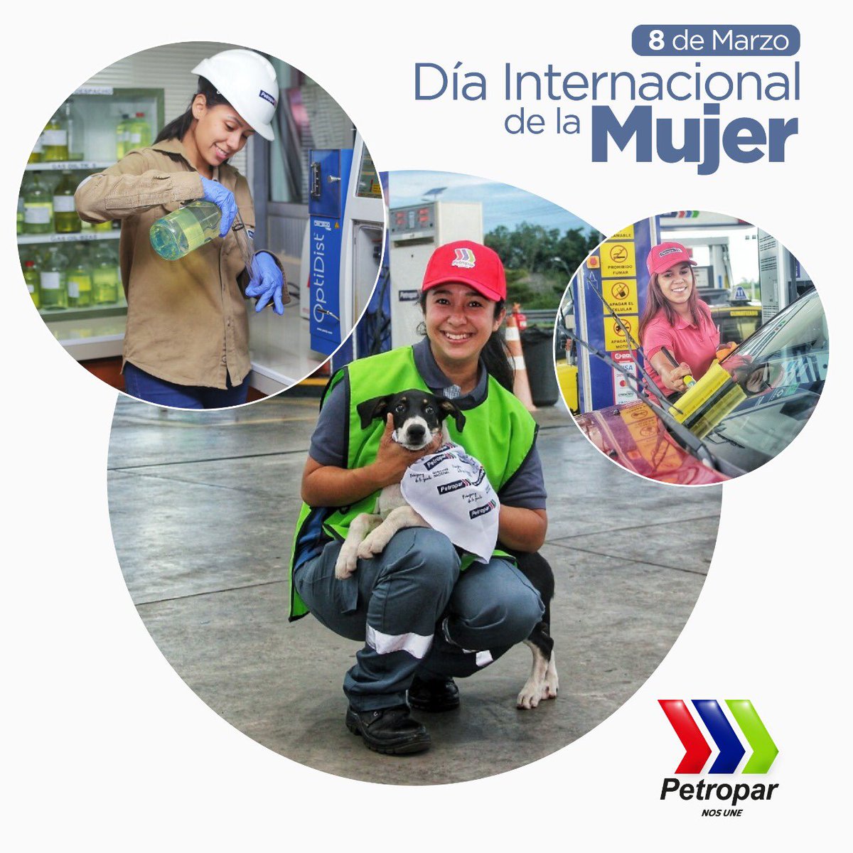Petropargov's tweet photo. DÍA INTERNACIONAL DE LA MUJER | En Petropar hoy conmemoramos la valentía y determinación de las mujeres hacia la construcción de una sociedad en igualdad de derechos.⚖👩🏻 

#PetroparNosUne ⛽🇵🇾
#ParaguayDeLaGente👨‍👩‍👧‍👦 https://t.co/Pha0YrHwgx