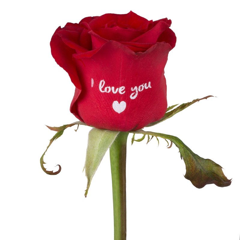 Walter Thoen tweet media