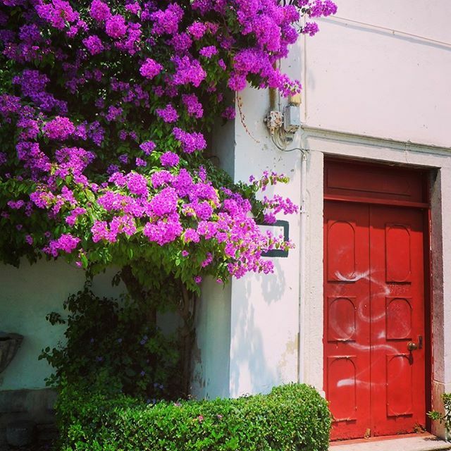 PA for a special day tweet media