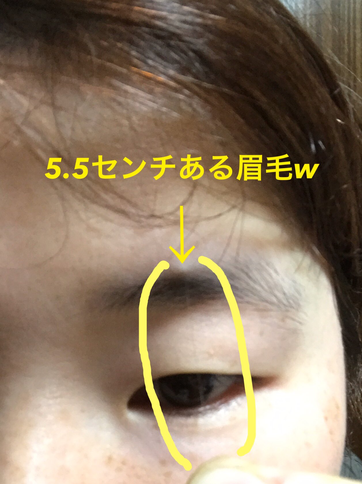 眉毛長い Twitter Search Twitter