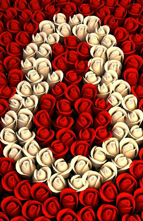 عرض الصورة على تويتر