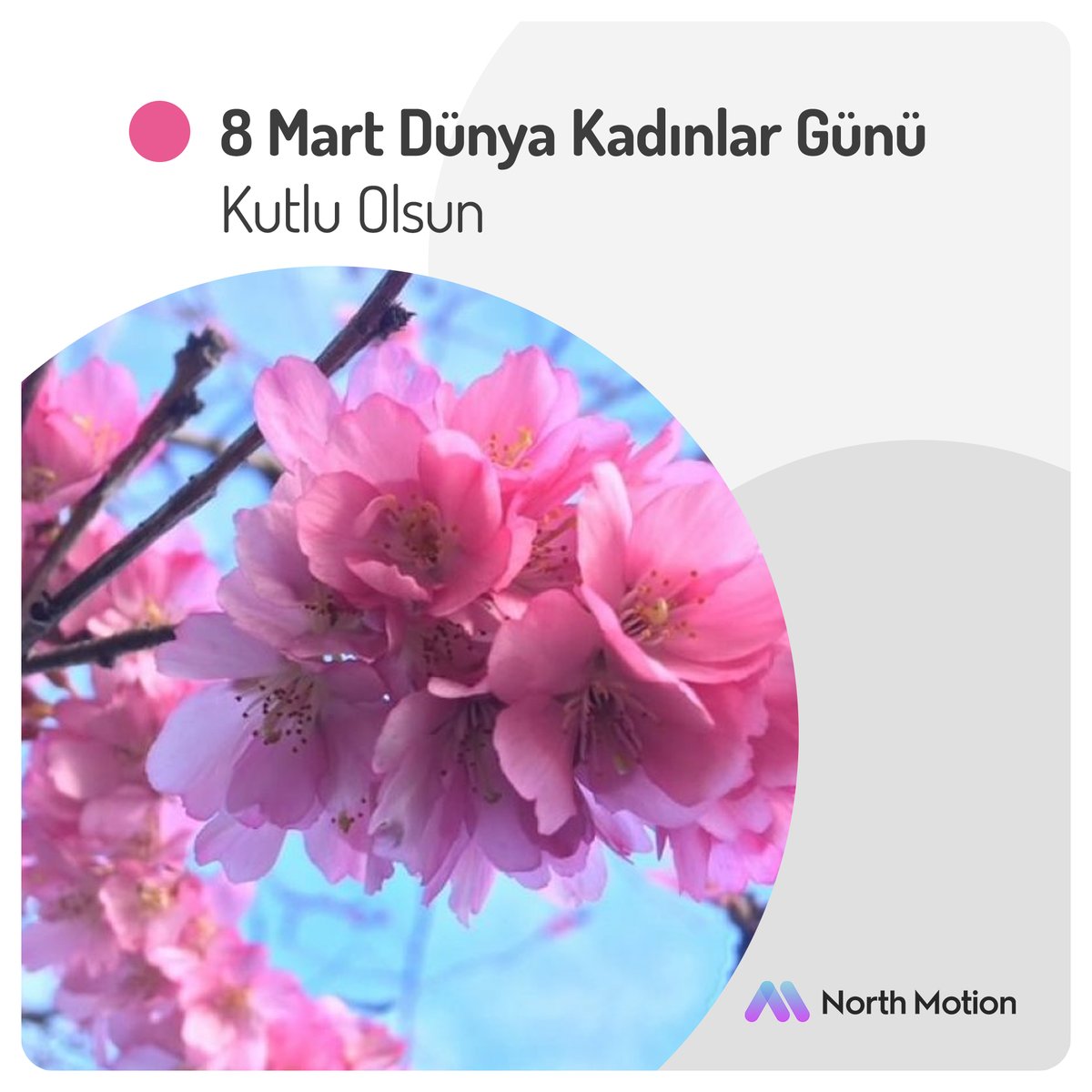 8 Mart Dünya Kadınlar Günü Kutlu Olsun  

#dünyakadınlargünü
#8martdünyakadinlargünü