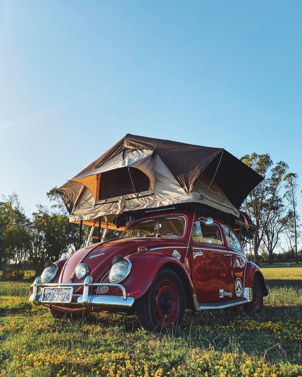 CapmingI's tweet image. #UFC248
Romero
Yoel
#DaylightSavingsTime