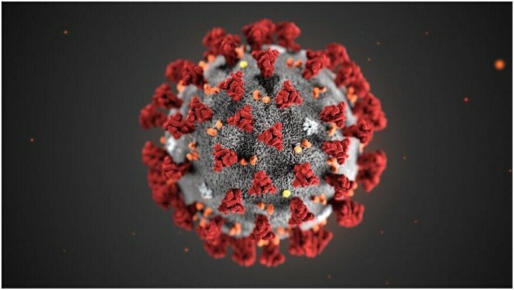 NewsNowNYC's tweet photo. The head of the World Health Organization (WHO) made a startling pronouncement this week when he estimated the global mortality rate of the coronavirus to be 3.4 percent – much higher than the seasonal flu. https://t.co/oM3hJ55Owm