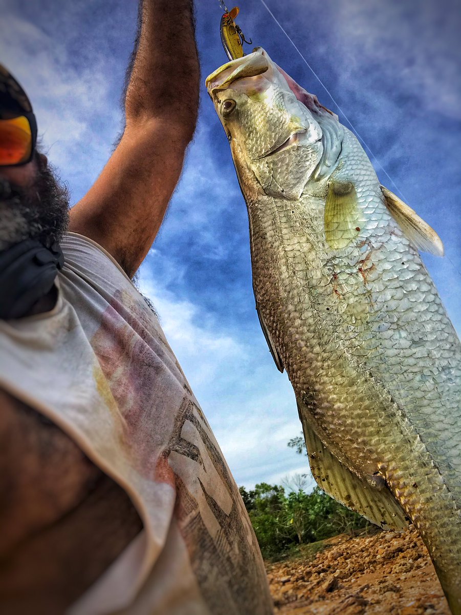 Bunbajee's tweet photo. Whatβs better than catching your first decent sized Barra, catching a bigger one straight after! π£π―β€οΈππ€π#Lardil #Aboriginal #MIislandHome #Gununa https://t.co/Dx2MQIwjdr