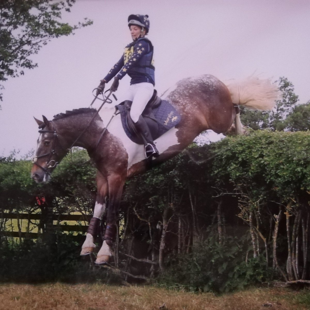 Pocket_Rocket_E's tweet photo. It's International Women's day today and this amazing girl deserves a mention!

Introducing super Sherry! The mare with the heart and courage of a lion! 

#internationalwomensday #maresrule #thisgirlcan #twohearts #loveher https://t.co/s1dFN0NIRK