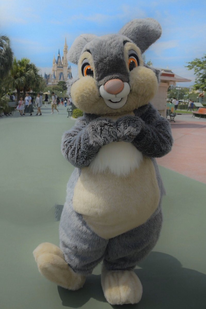 mio_mouse's tweet photo. #サンパーの日 とやら https://t.co/xCn4ZMN9rh