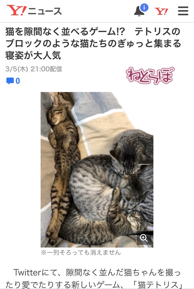 Yahoo!ニュースに載るなんてうちの猫も出世したな〜〜〜。 