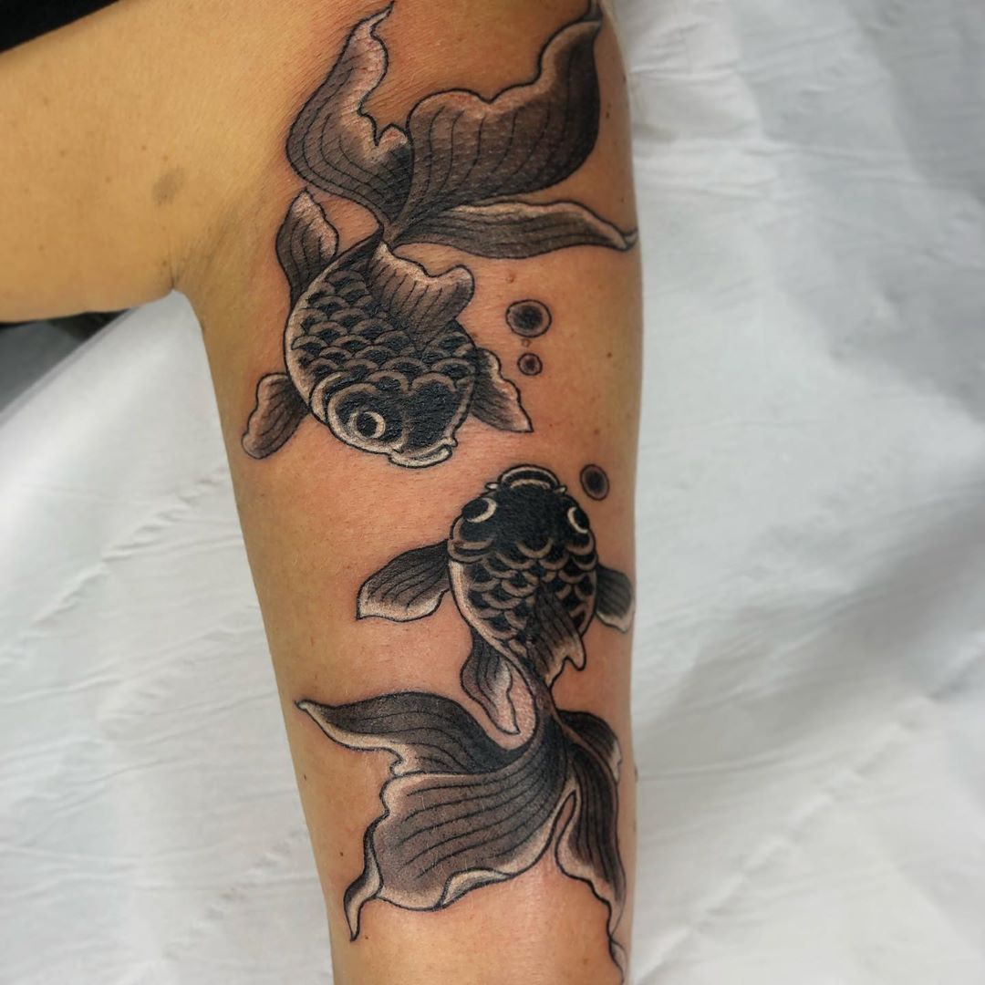 CandDLondon's tweet photo. Goldfish tattoo by Micky C - To see more work visit @micky_c_tattooer via instagram. #tattoo #londontattoo #japanesetattoo #goldfish #fishtattoo #tattooflash https://t.co/IWlJCoLRmr