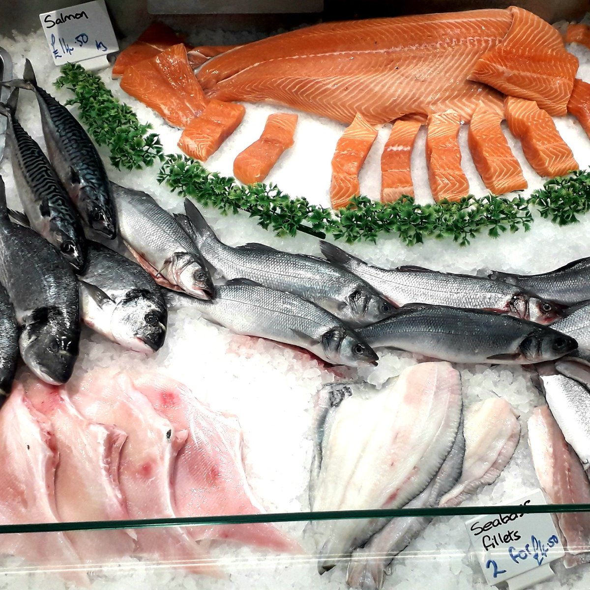 CappsSon's tweet image. #NewProfilePic