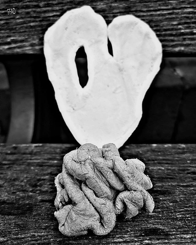FrauFenster's tweet photo. Brain Damage Part II
Heart and Brain

Feel your heart. 
Denn wo Du bist, ist auch Dein #Herz. 
Use your #Brain. 
Denn wo Du bist, ist auch Dein #Hirn. 
Lass sie nicht gegeneinander kämpfen. 
Nur als Komposition wird es Dich stark machen. ❤️ #ffad #fraufe… https://t.co/iP8M4mXcLq https://t.co/ohXI3oIUms