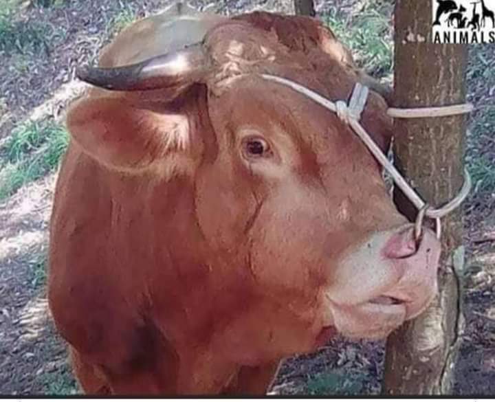 kabirkhan7777's tweet image. कहा से आते है वो इंसान जिनमे इंसानियत  ही नहीं होती  😥 

दर्द सबको होता है बस बयान कोई - कोई कर पता है 😞.    #copypest