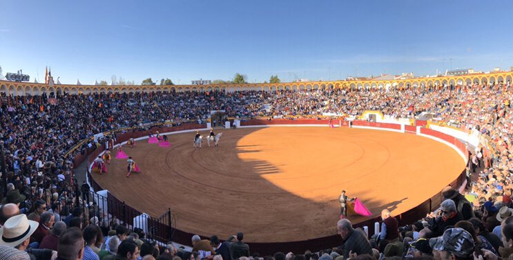 Illescas, ayer.
Olivenza, ayer.

#LosTorosNoInteresan