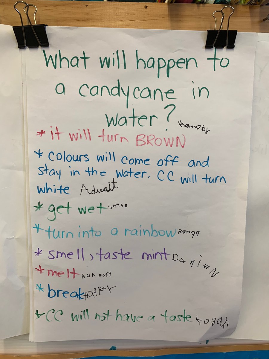 Friday’s experiment had students communicating, questioning and making predictions about what might happen to a candy cane when it’s left in water🔎💧 <a href="/PicksPacers/">Pickersgill JK/SK</a> @EY_uwindsor <a href="/PrinceEdwardPS/">Prince Edward Pacers</a> #EY_uwindsor