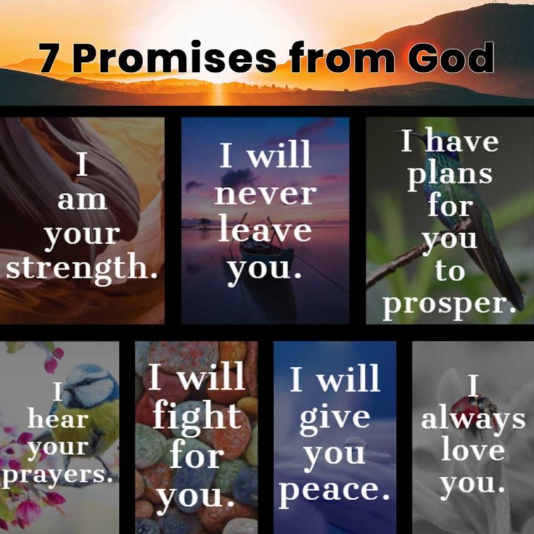 DyerUmc's tweet photo. Seven promises of God to you https://t.co/rRQIlxG9vi