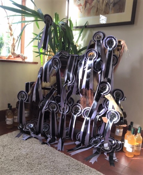 Rosettes arrived There is a horse there <a href="/GoringHeathHT/">Goring Heath HT</a> 28/29 March Ballot Tues  
<a href="/redhorseproduct/">Red Horse Products</a> @RowenBarbary Coldstream Equestrian @VoltaireDesUK <a href="/HyEquestrian/">HyEquestrian</a> <a href="/HiltonHerbs/">Hilton Herbs</a> GB Total Equestrian Ltd.lt M T Loos <a href="/hoofbalm/">Silverfeet Hoof Balm</a> <a href="/ProtexinEquine/">Protexin Equine</a> <a href="/CoachHouseVets/">Coach House Vets</a> <a href="/TopSpec2/">TopSpec</a>