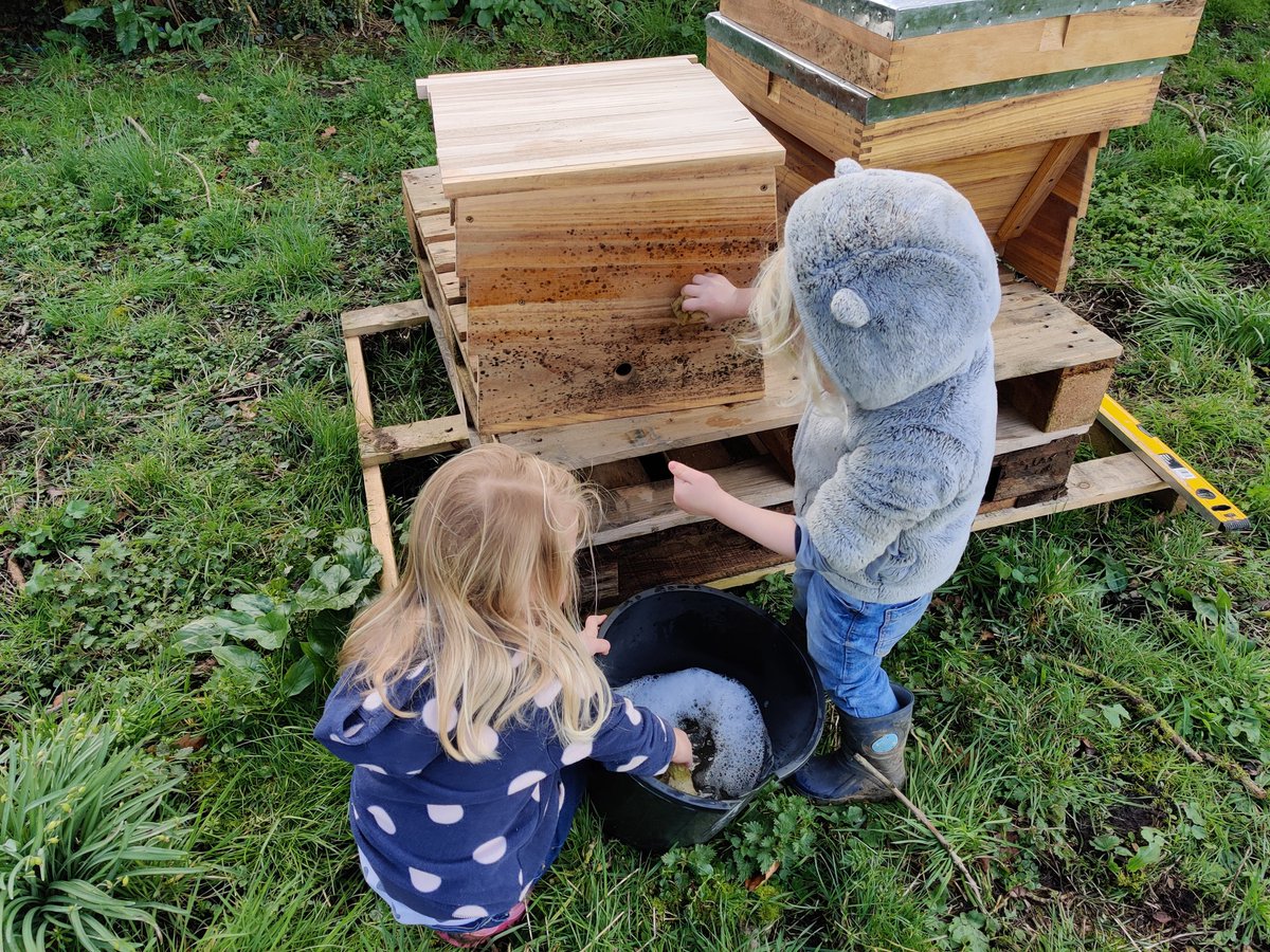 The linseed oil that I treated these nucs with over the winter has attracted a bit of mold whilst they've been in a garden shed. 

The junior beekeepers are now doing a great job of wiping them down.