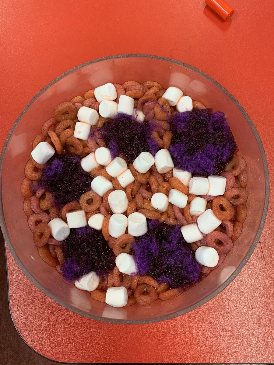 Day 2 of 7 images of my life. 😂