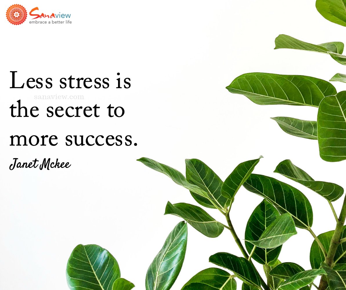 sanaview's tweet photo. Less stress is the secret to more success.

This is a quote from my book, "Stressless Success."  The book is available Now!

❤️ https://t.co/ENuplSZNbj