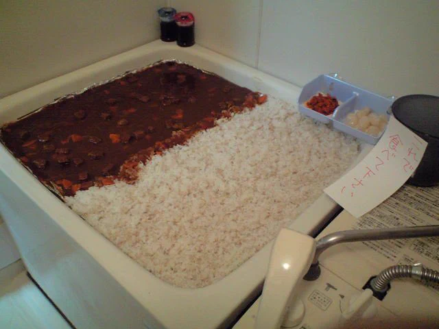 引っ越し早々にこれww お風呂にカレーをいれてみた結果とは？