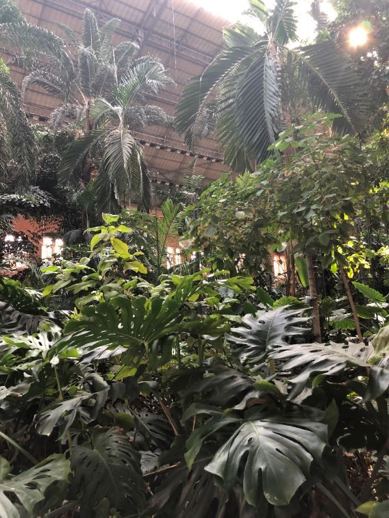 Con esta belleza como telón de fondo 🌴🌴🌴, nuestra gastronomía mediterránea sabe ¡aún mejor! buff.ly/33MEnIe #VenaSamarkanda