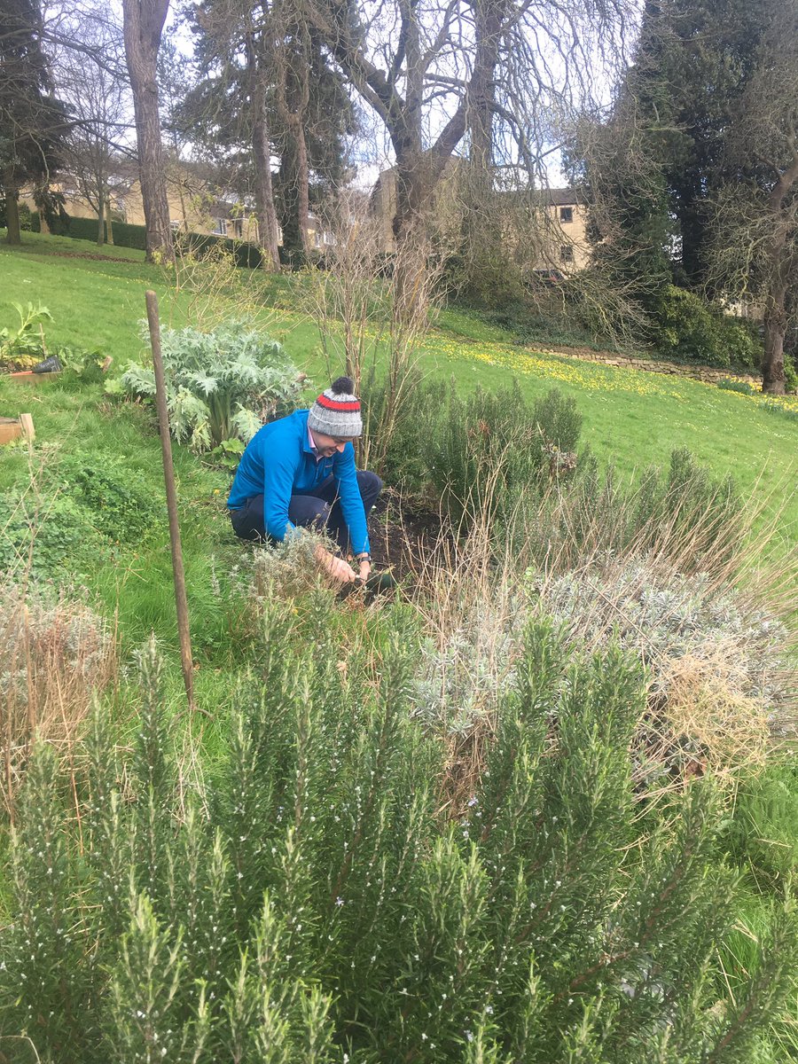 vegmead's tweet image. We’ve been prepping for spring today - thanks to @tompdavies for lending a hand. @wildwalcot @XRBath @GreenBathNES @