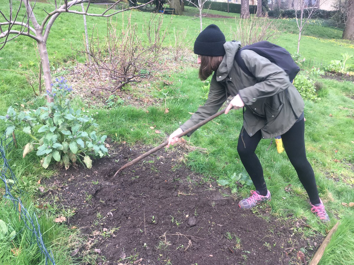 vegmead's tweet image. We’ve been prepping for spring today - thanks to @tompdavies for lending a hand. @wildwalcot @XRBath @GreenBathNES @