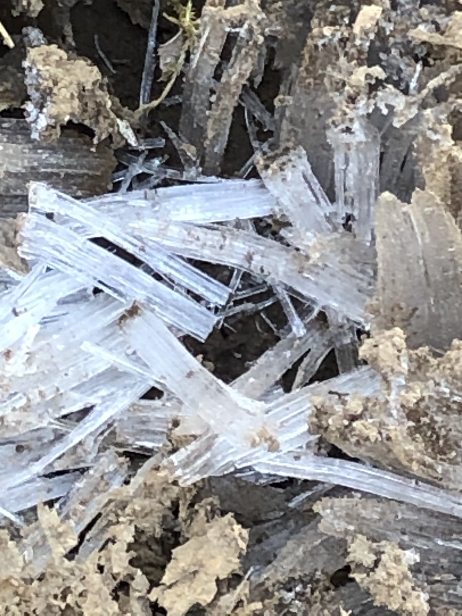 CDanaherH's tweet photo. earth is not yet #thawed
Winter’s hand still holds its grip
wounds unhealed are raw

#vsspoem
#haiku https://t.co/mVlDqPnbFp