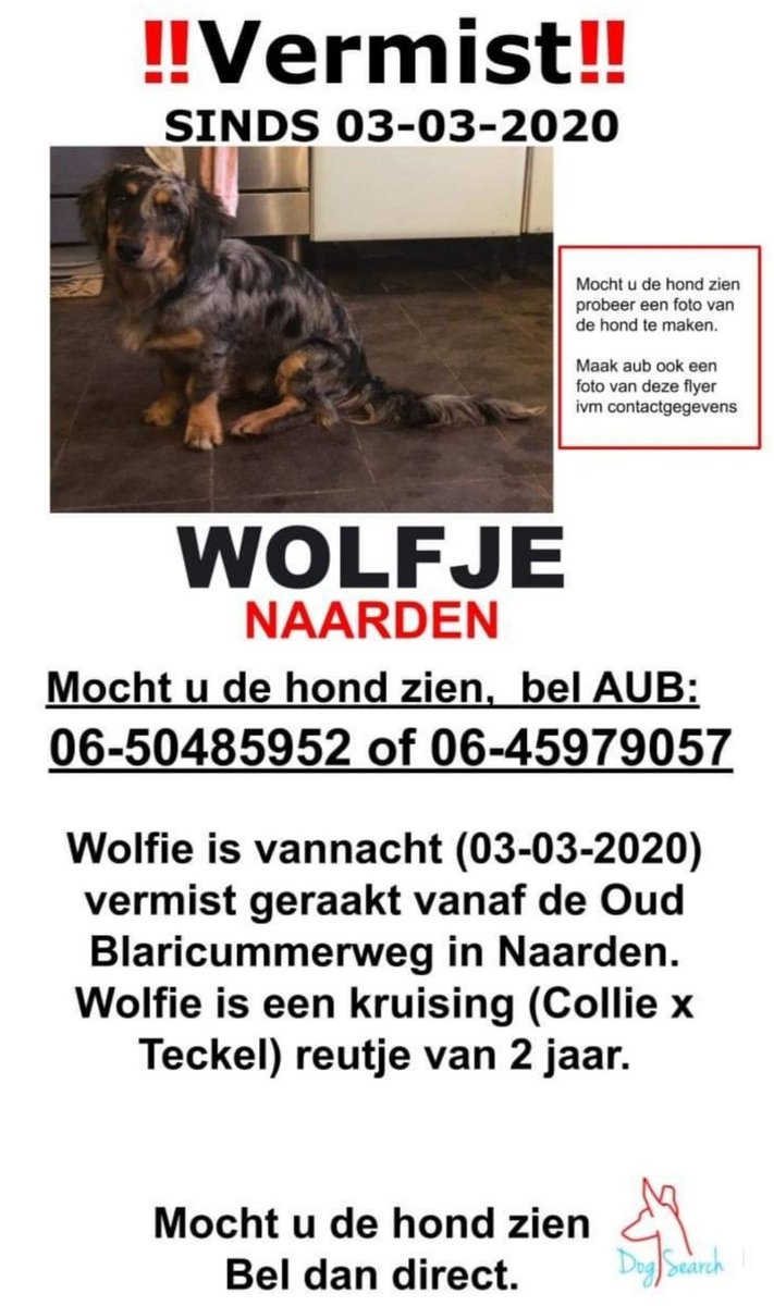 DogsearchNL's tweet photo. Nog steeds vermist!!
Wolfje #naarden #blaricummerweg #missingdogs @NaardenNL
Graag nogmaals delen voor Wolfje https://t.co/IW4Ad2owch