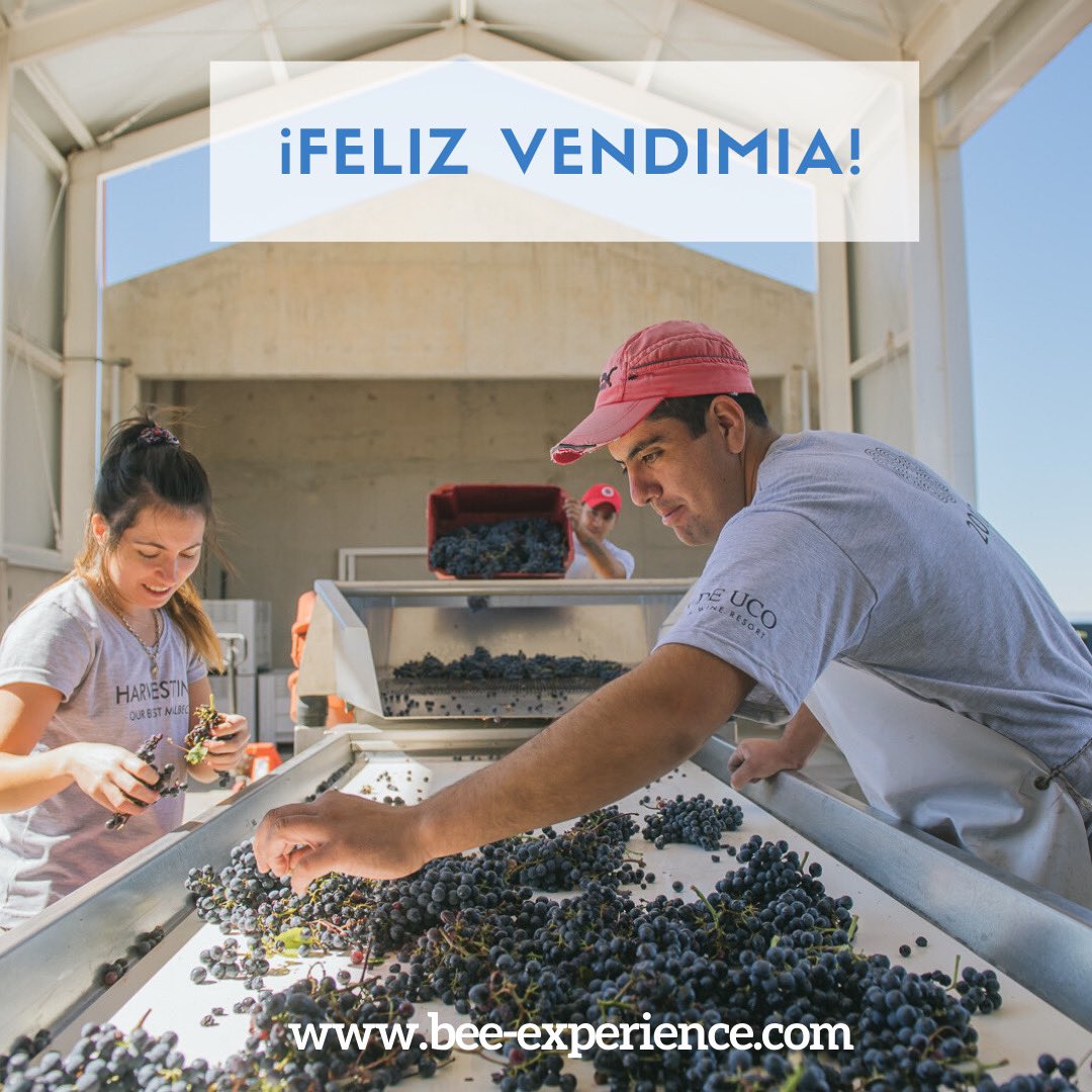 Mendoza, tierra del sol 🌞 y el buen vino 🍷