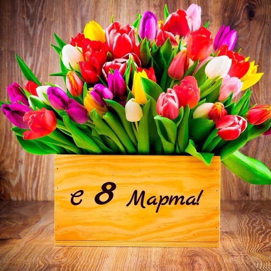 Neva_Show's tweet photo. МИЛЫЕ ЖЕНЩИНЫ, С ПРАЗДНИКОМ!

#МеждународныйЖенскийДень #8марта #ПраздникВесны #невашоу #nevashow https://t.co/aEw9YTAzQo