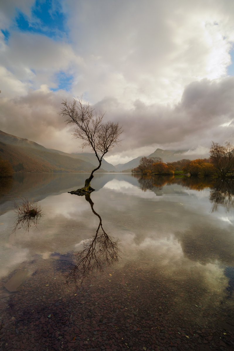 Steve_Hogan_'s tweet photo. A nice calm day unlike today’s windy conditions #llynpadarn #llanberis #lonlytree @stormhour #sony #sonya9 #batis18 @ZEISSLenses #outdoorphotography #reflections #northwales #lovephotography #follow4followback #followers (please click image) https://t.co/sky9skny5W