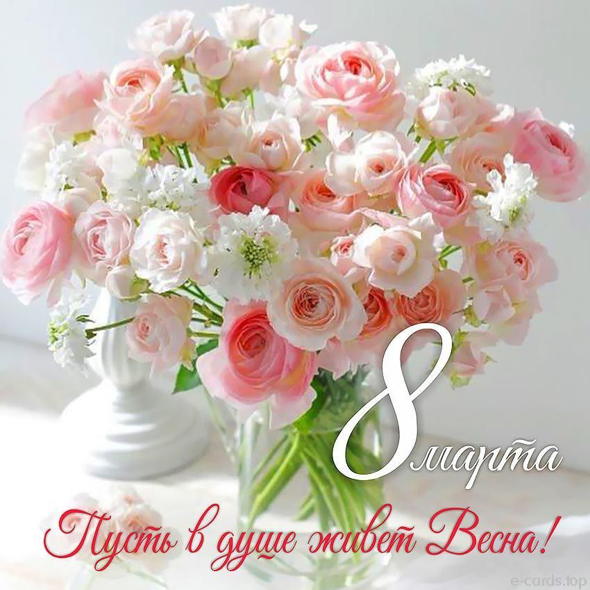 Татьяна Чернова (@chernova55) on Twitter photo 