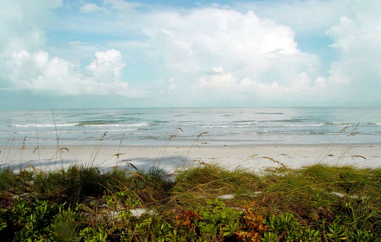 BeachToTee's tweet photo. Conners Vanderbilt Market Report - https://t.co/NMEqOLwhif https://t.co/crtXjefKwJ