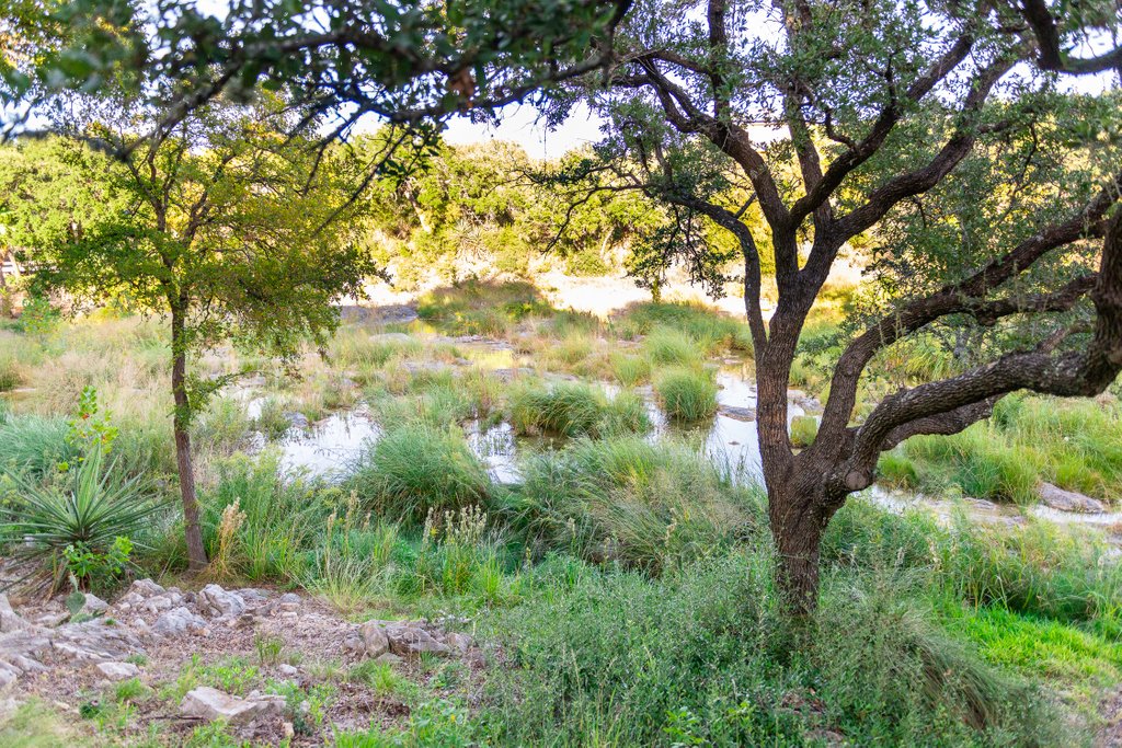 eden_garden's tweet photo. Daily Dose of Landscape/Garden Inspiration from Eden Garden Design Projects
Restoration of the Creek Below
#austinlandscape #nativeplants #architecture #gardendesign #outdoorliving #landscapearchitecture #outdoordesign #austingardens #gardenlove #horseshoe bay https://t.co/xDAcbs1hwo