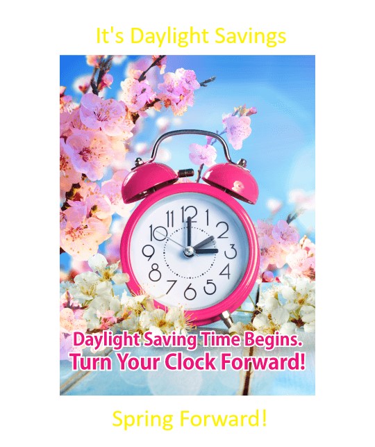 rosearsenault's tweet photo. It's time for #daylightsavings #clocksmoveforwardonehour #springforward https://t.co/BnfWGWSC7N