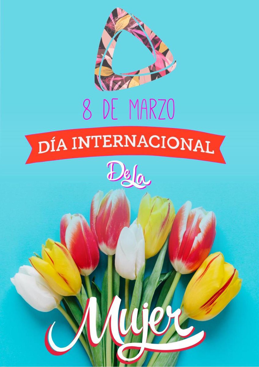 El Reparo CT tweet media