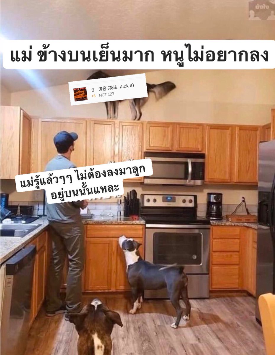 ˚· 𝙗𝙤𝙤 ✿ tweet media