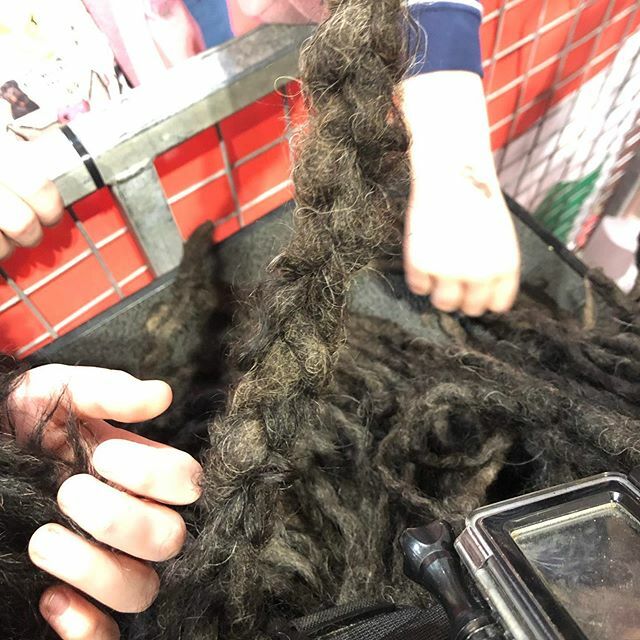 ZebPuliZeb's tweet photo. Thank you to the little girl with her Mum, Dad, sister and brother who plaited my cords on the Hungarian Puli stand @crufts yesterday. Didn’t she do a good job guys?
#PlaitingMops #DiscoverDogs #crufts2020 #GoProPuli https://t.co/0IsGVDctzH https://t.co/3Z5Wmvg1hs