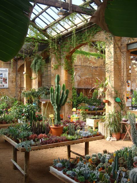 GGvivero's tweet photo. Nuestro lugar. Nuestro refugio. Su lugar para disfrutar, deleitarse con aromas y colores y llenar los sentidos. 
Un lugar para ti y toda la familia.
#GreenGarden https://t.co/OzZZ0j6t6m