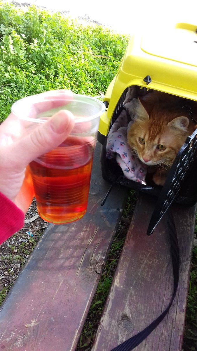 En güzel kahvaltım seninle 🐱