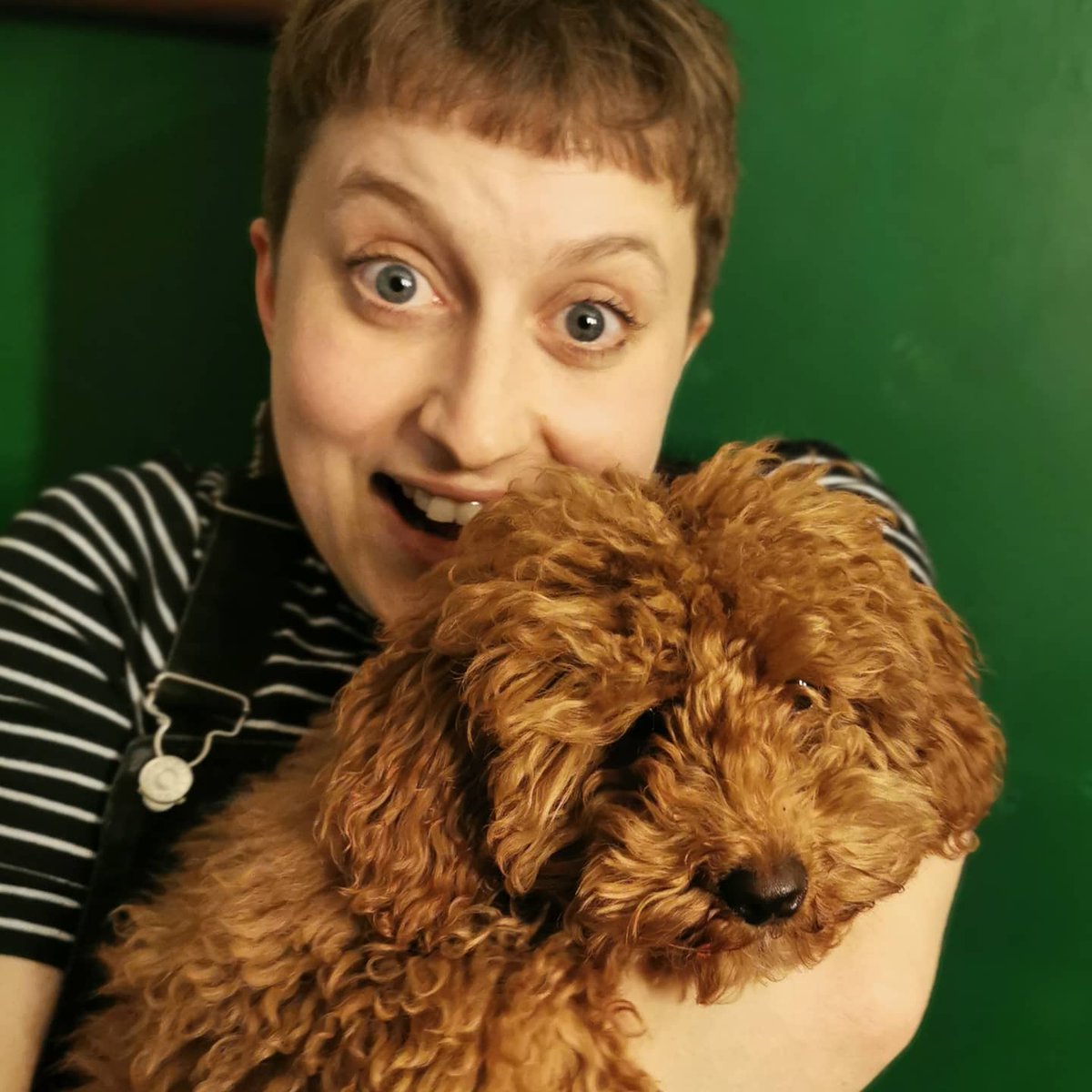 thepoodleclub's tweet photo. Of course, Betsy had the most fun of all of us. #cuddlemonkey 

#divadog #BackstageWithBetsy #backstage #poodle @HarrietBraine @BlakeAJ1 @carlysmallman @phatcomedian #SE26 #comedian #comedy #livecomedy #Sydenham #londoncomedy #london #southlondon #SoldOut @Love_SE4 https://t.co/L6MPZv126b