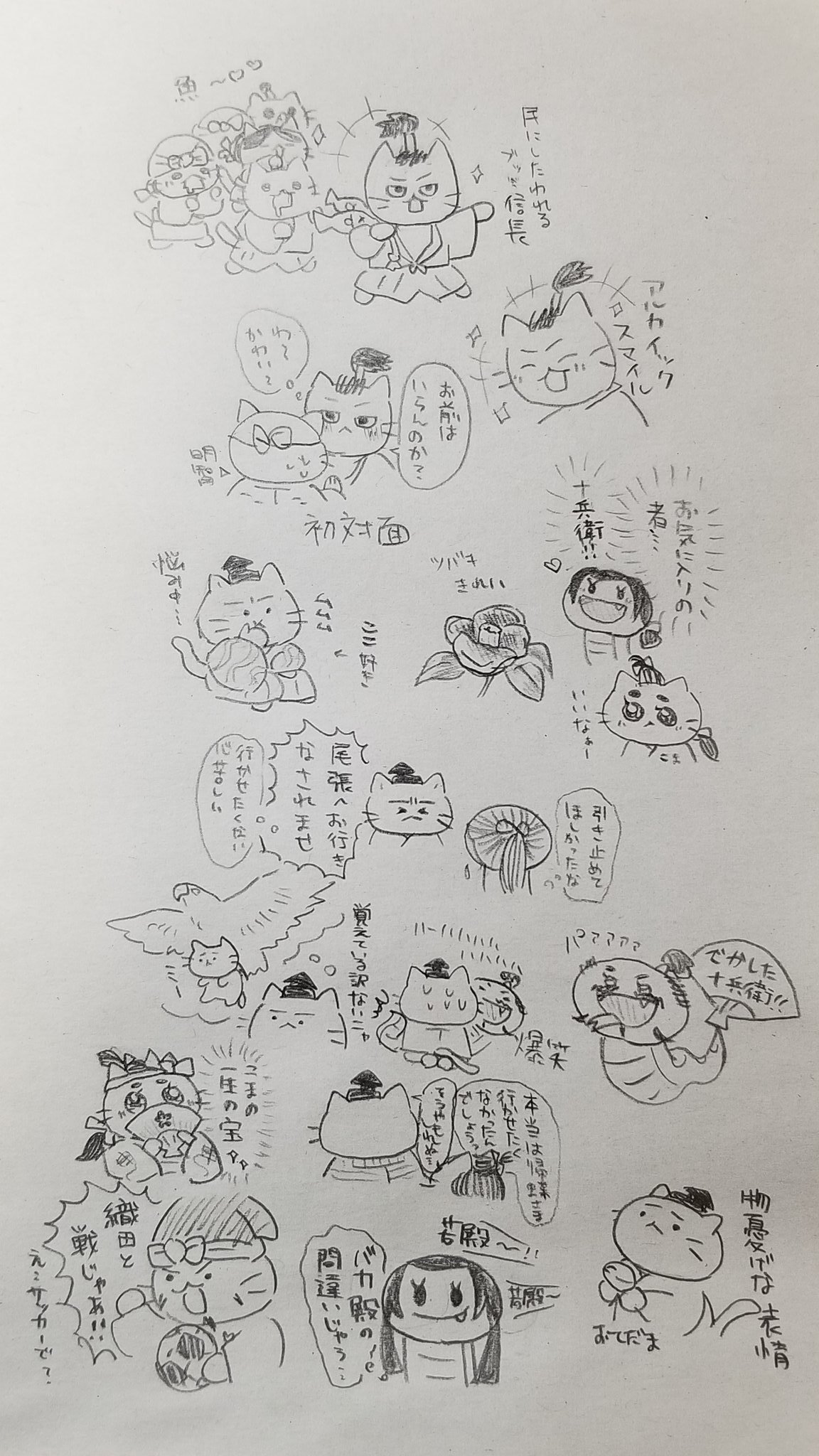 Twitter 上的 千寿 今回も見どころたくさんあった 麒麟がくる 麒麟絵 ねこねこ日本史 イラスト 落書き まとめ T Co Pjtekyt3ur Twitter