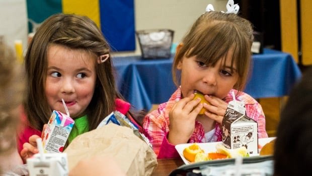 The importance of Family Centres in our LRSD Schools and what they provide beyond the basic needs. Thank you Robyn Brown for sharing your experience. More than a meal: School breakfast programs vital in building community, helping kids succeed
cbc.ca/news/canada/ma…
