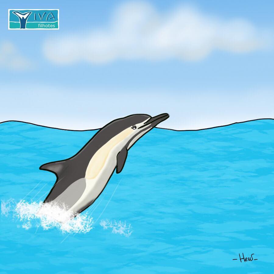 Em comemoração ao Dia Internacional das Mulheres...

Apresentamos a querida, linda  e cheia de energia Delphina!
Uma menina Golfinho-comum (Delphinus delphis)

Ilustração: Hew Barreto

#VIVAfilhotes
#Domingocomfilhotes
#Delphinusdelphis
#Golfinhocomum
#VIVABaleiasGolfinhosecia