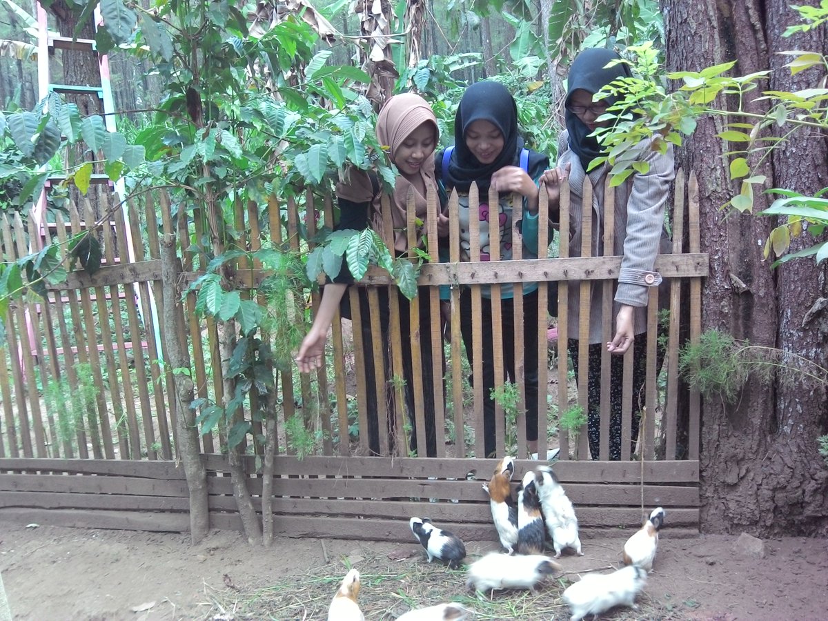 sebab bahagia itu sederhana, memberi makan hamster ini misalnya.... ya setidaknya kesederhanaan itu mendatangkan kebaikan meski tak berdosa dan berpotensi mendatangkan keburukan apalagi...wkwkwkwk #PesanSambat
