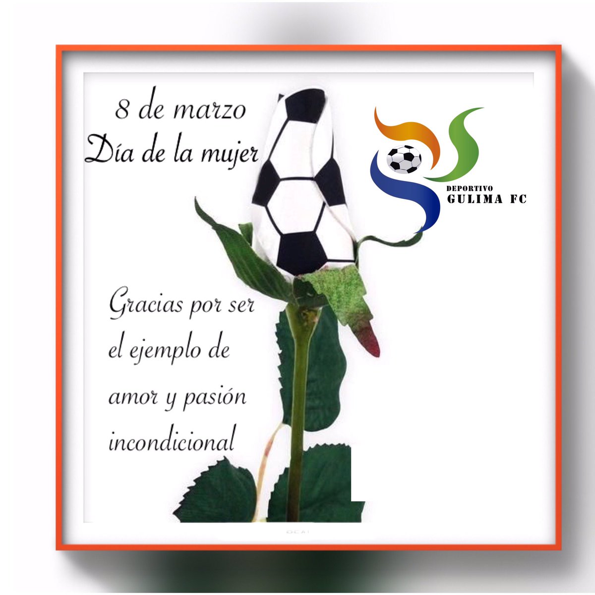 8 de marzo💃
Feliz día para todas las mujeres del #clubgulima 🌹 y del mundo 🌎 
#diainternacionaldelamujer #gulimasiemprepresente #familiagulima #lafragua #balon #mujerqueapoyaelfutbol #futbolvenezuela #mujeresvalientes