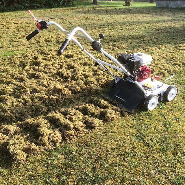 Etesia Deutschland tweet media